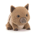 Jellycat Cozy Plush Swinley Boar
